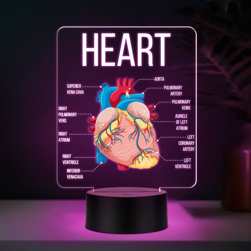 3D Illusion Anatomical Heart Diagram LED Lamp with 7 Color Changing Light Gift for Medical & Science Student Home, Clinic, Hospital & Study Desk Table Decor